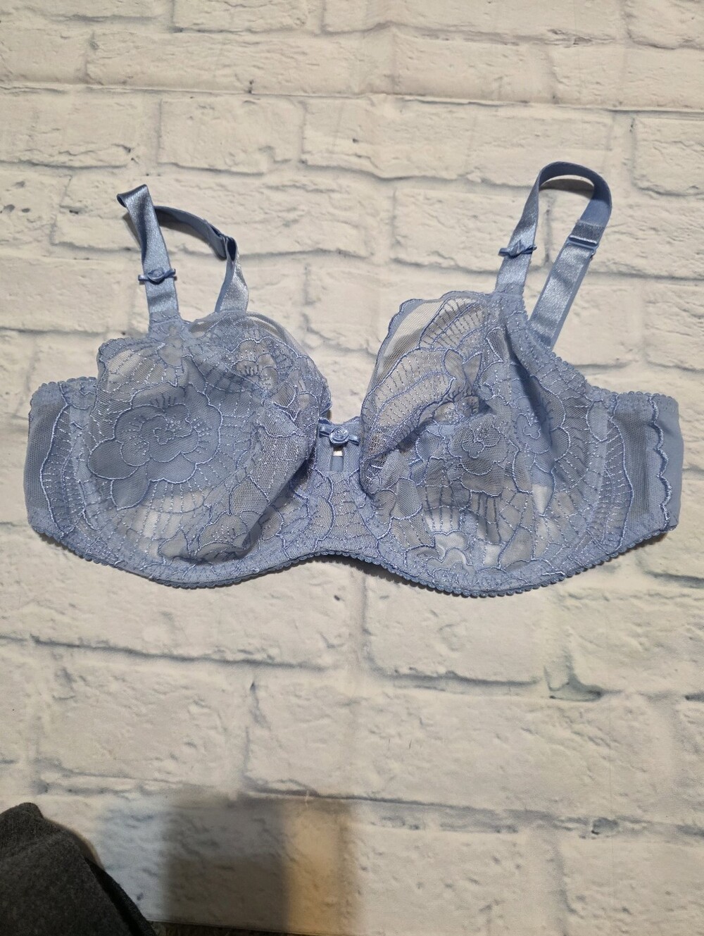 Elixir De Lingerie Sheer Lace Underwire Bra in Powder Blue - Women's Intimates